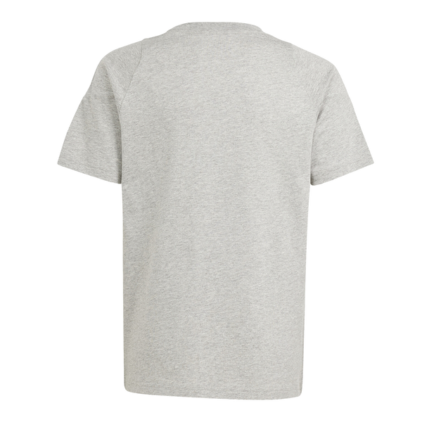 CAMISETA GRIS ALGODÓN TÉCNICO ADULTO 25/26