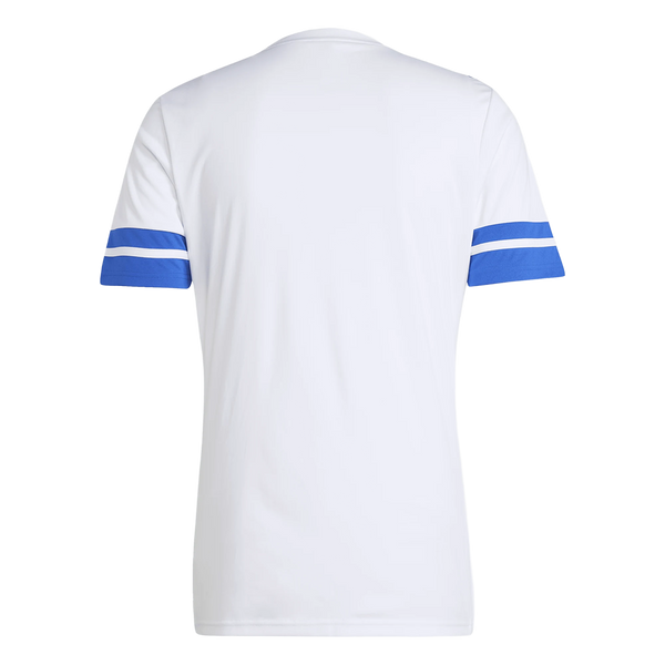 CAMISETA ENTRENAMIENTO CUERPO TÉCNICO ADULTO 25/26