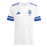 CAMISETA ENTRENAMIENTO CUERPO TÉCNICO JUNIOR 25/26