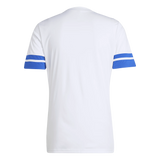 CAMISETA ENTRENAMIENTO CUERPO TÉCNICO JUNIOR 25/26