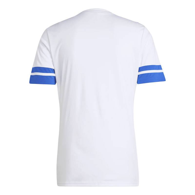 CAMISETA ENTRENAMIENTO CUERPO TÉCNICO JUNIOR 25/26