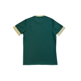 CAMISETA 3ª EQUIPACIÓN JUGADOR JUNIOR 25/26