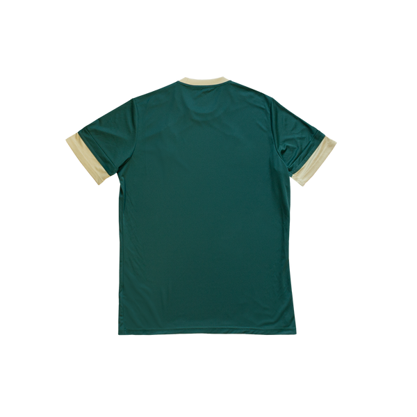 CAMISETA 3ª EQUIPACIÓN JUGADOR JUNIOR 25/26