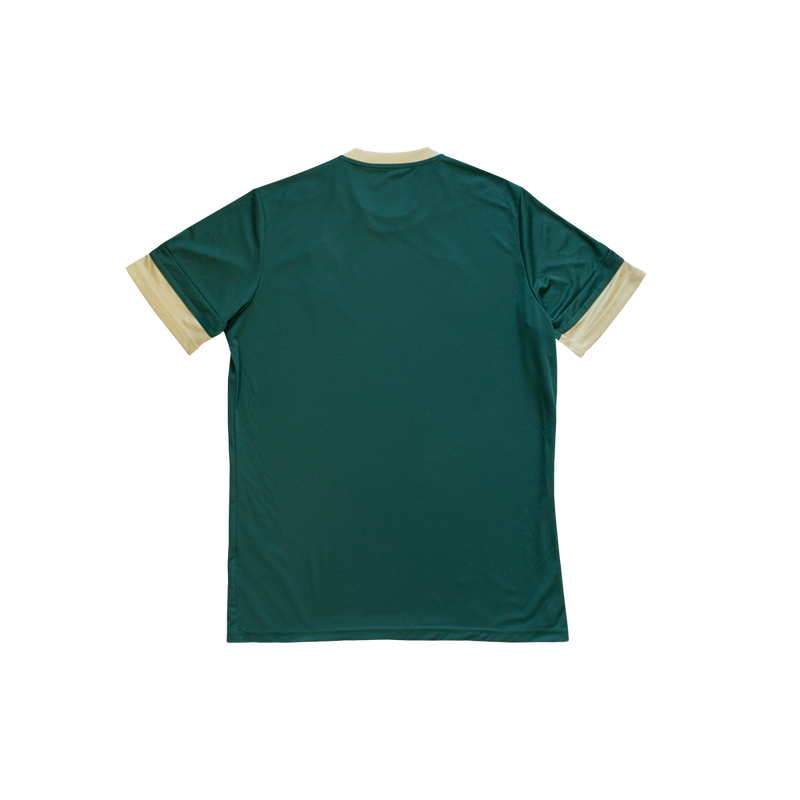 CAMISETA 3ª EQUIPACIÓN JUGADOR JUNIOR 25/26