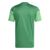 CAMISETA ENTRENAMIENTO PORTERO ADULTO 26/27