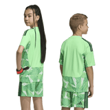 CAMISETA VERDE PORTERO JUNIOR 26/27