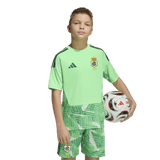 CAMISETA VERDE PORTERO JUNIOR 26/27